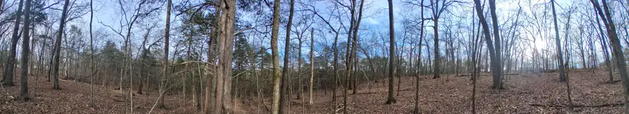 000 Truman Lane, Branson, MO 65616 - #2