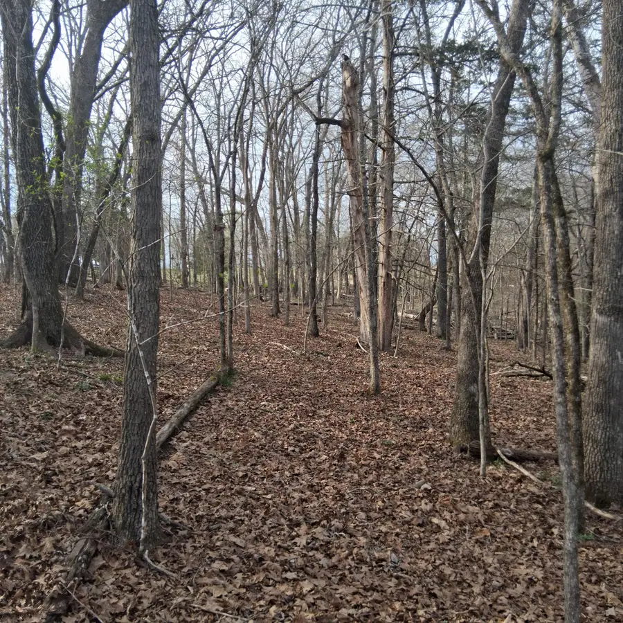 000 Truman Lane, Branson, MO 65616 - #3