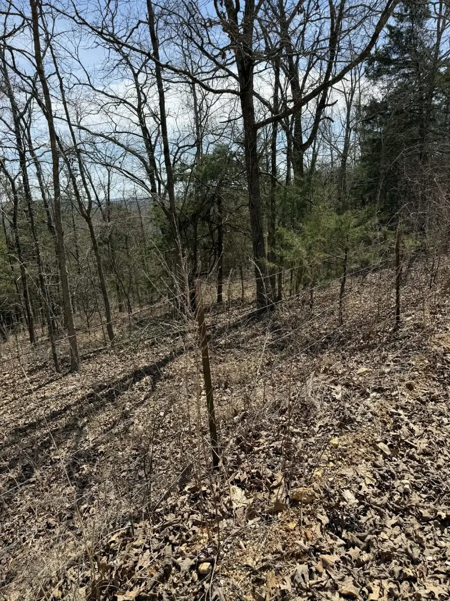 Tbd E 76 County Road 126 Track40/41, Norwood, MO 65717 - #2