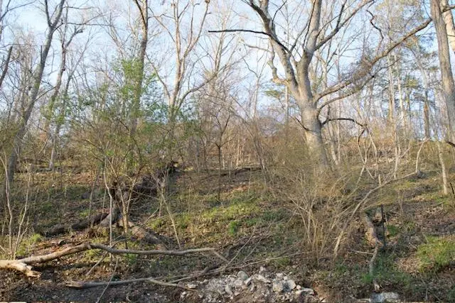 550 N 10th Avenue #Lot 6, Ozark, MO 65721 - #3