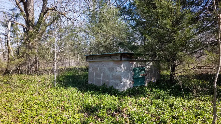 000 Shands Road, Evening Shade, AR 72532 - #3