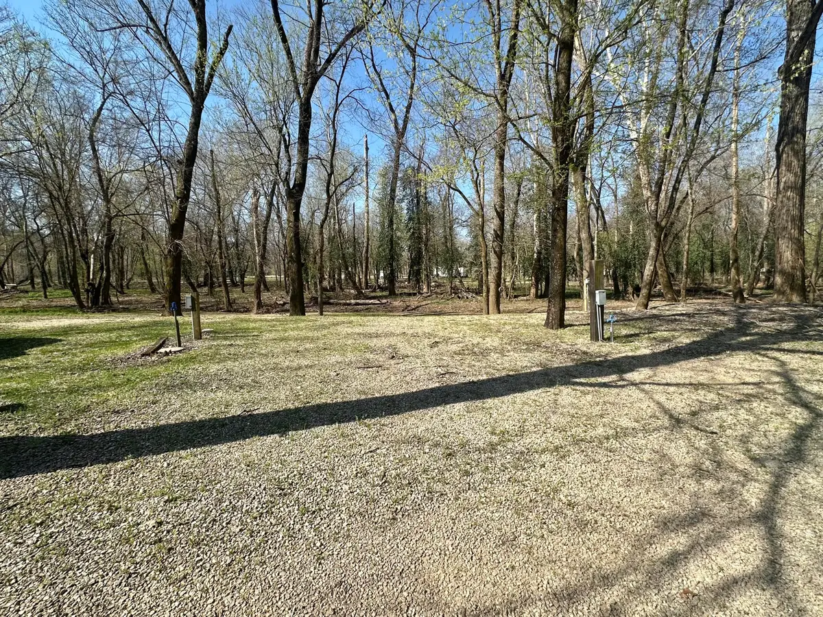 000 Brown Road, Van Buren, MO 63965 - #1