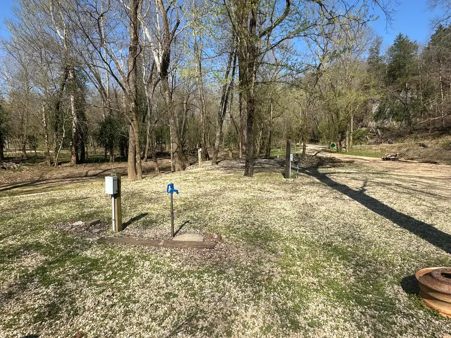 000 Brown Road, Van Buren, MO 63965 - #2