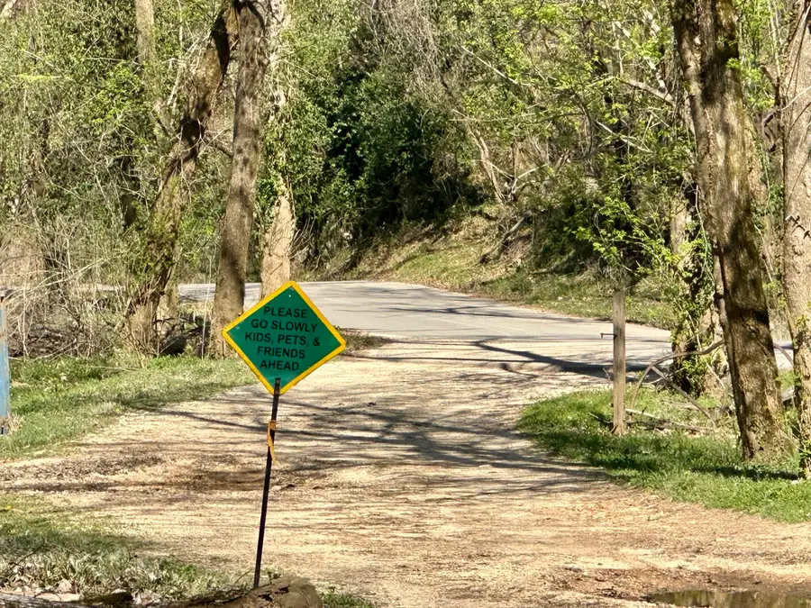 000 Brown Road, Van Buren, MO 63965 - #3