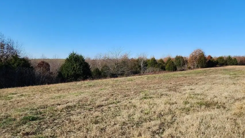 Tbd Highway 63, Thayer, MO 65791 - #2