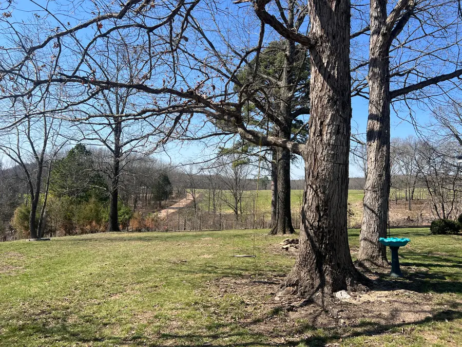 000 Rural Route 1 Box 565, Mountain Grove, MO 65711 - #3