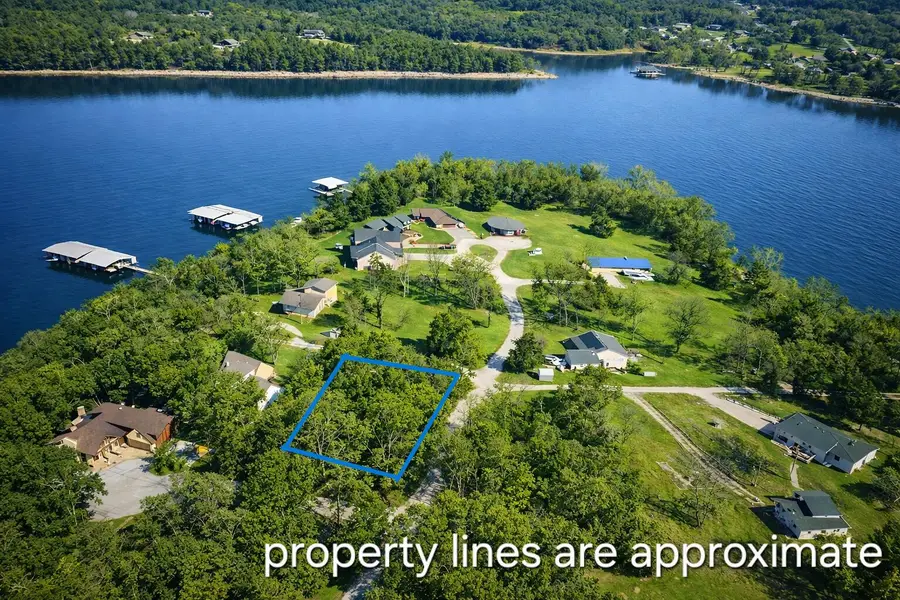 Lot 1 Daisy Lane, Lampe, MO 65681 - #3