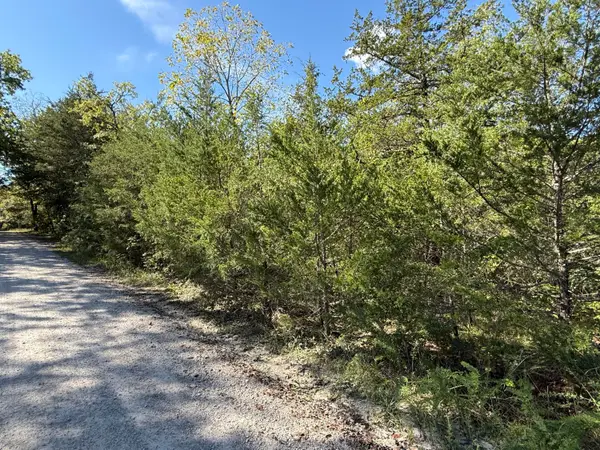 Lot 23 Daisy Lane, Lampe, MO 65681