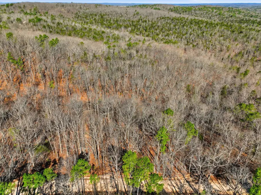 000 County Road 158, Gainesville, MO 65655 - #3