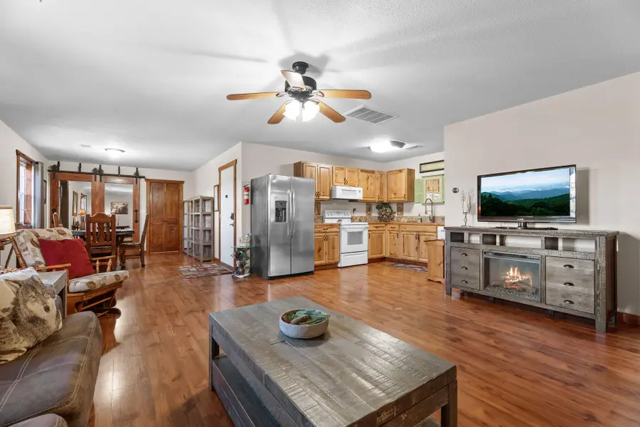 705 Watson Road, Branson, MO 65616 - #3