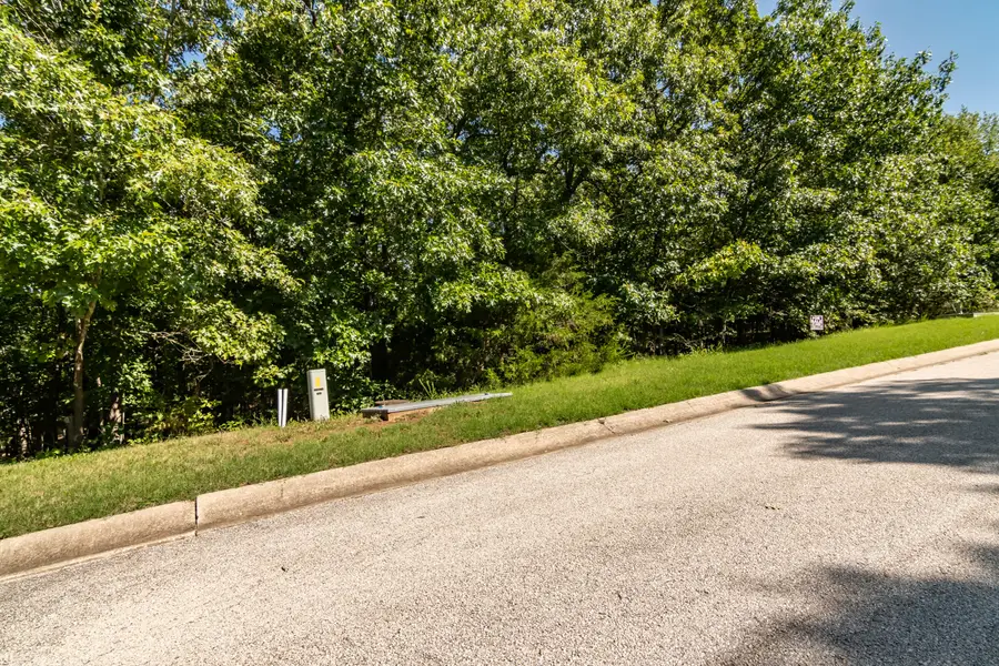 232 Woodhaven Circle, Hollister, MO 65672 - #3