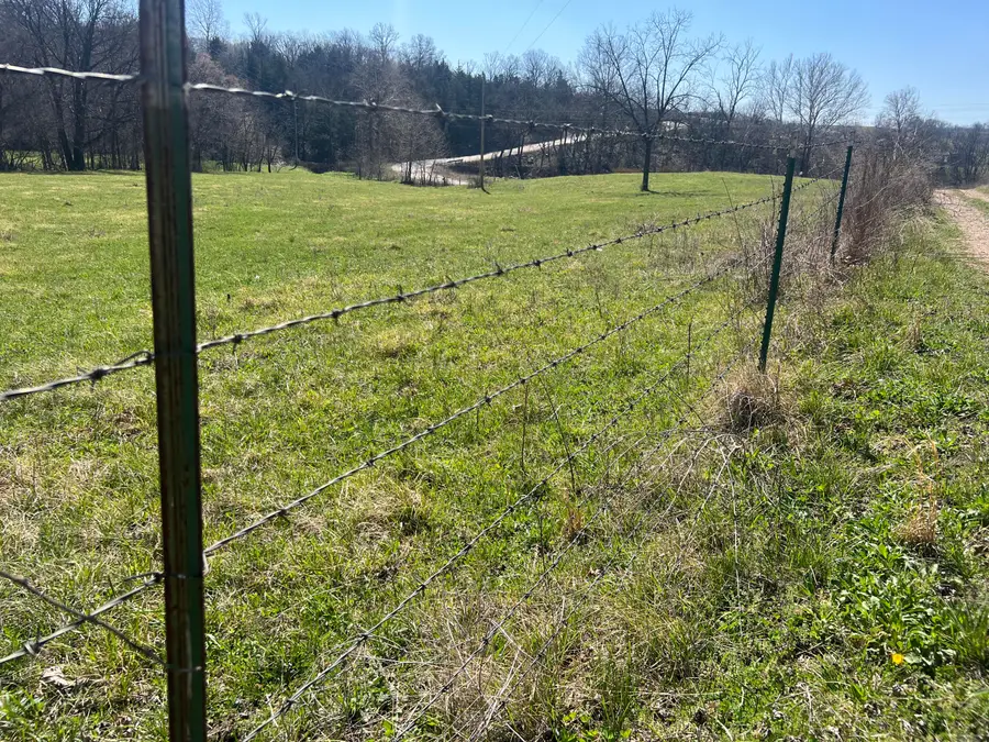 8727 Mountain Valley Road, Mountain Grove, MO 65711 - #2