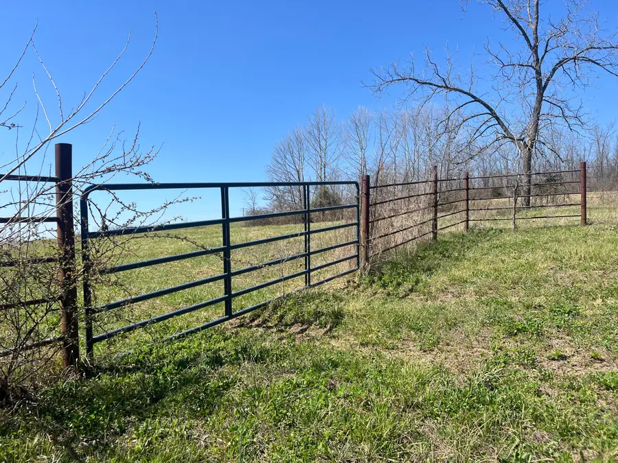 8727 Mountain Valley Road, Mountain Grove, MO 65711 - #3