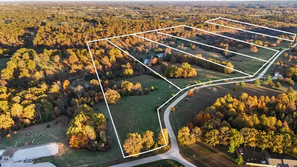 000 Weatherby Drive #20 Acres, Fordland, MO 65652