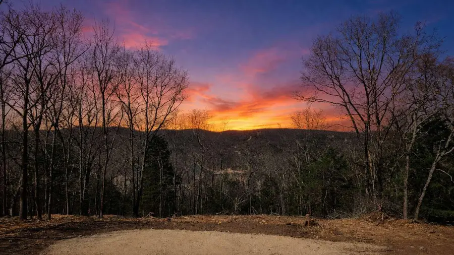 711 Crows Nest Trail, Branson, MO 65616 - #2