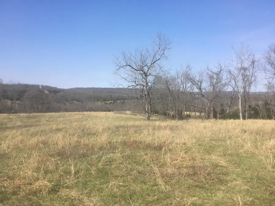 0000 Creek Road, Hartville, MO 65667 - #2