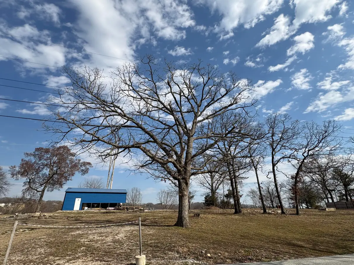 991 Showplace Gateway, Branson, MO 65616 - #1