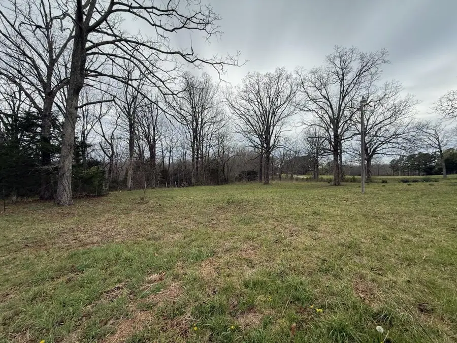 23096 Missouri 142, Myrtle, MO 65778 - #3