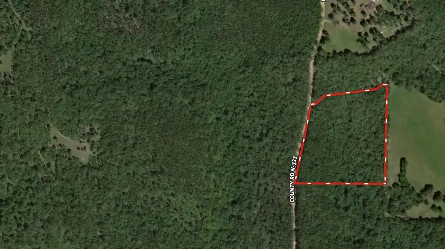 000 County Road 333, Drury, MO 65638 - #2