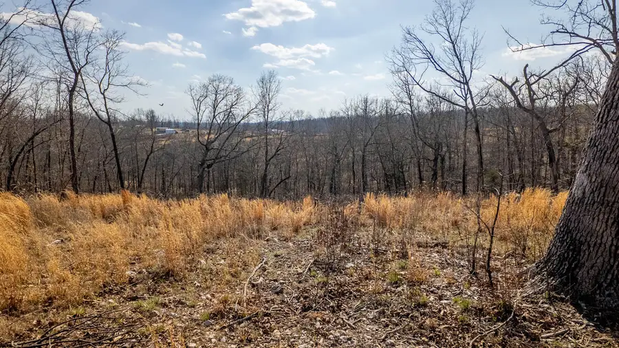 000 County Road 333, Drury, MO 65638 - #3