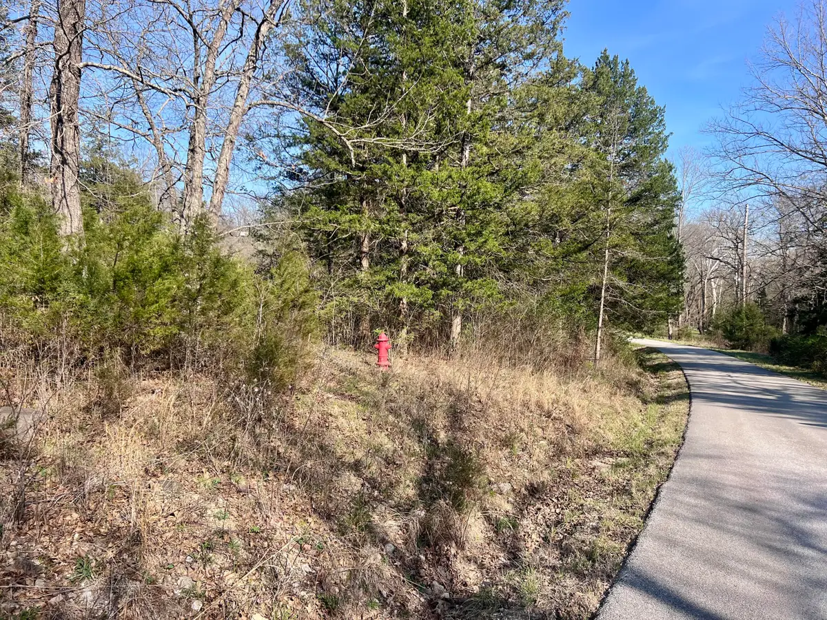 000 Indian Lane, Hermitage, MO 65668 - #1