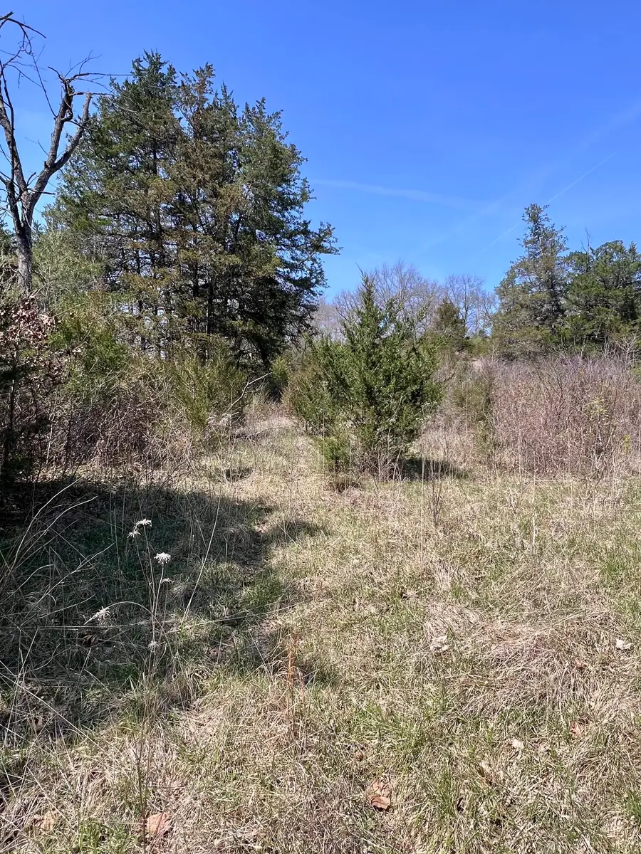 000 Indian Lane, Hermitage, MO 65668 - #2