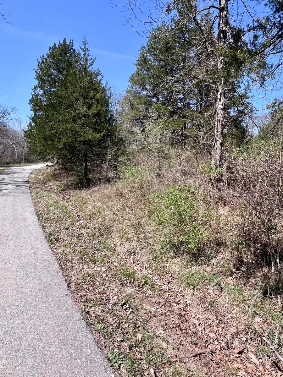 000 Indian Lane, Hermitage, MO 65668 - #3