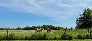 000 State Highway 83, Weaubleau, MO 65774 - #1