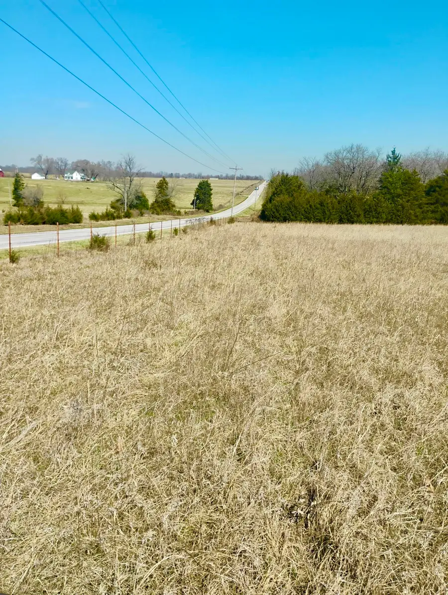 000 State Highway 83, Weaubleau, MO 65774 - #2