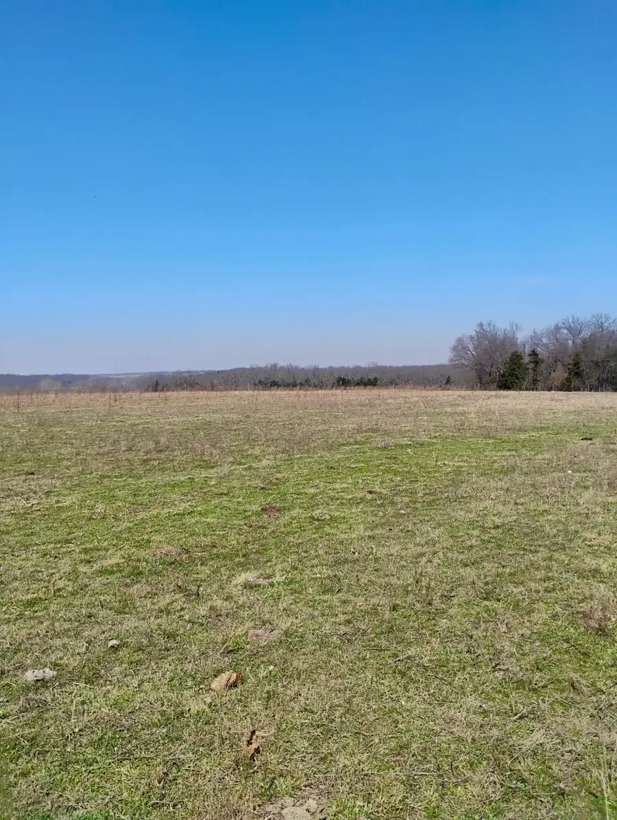 000 State Highway 83, Weaubleau, MO 65774 - #3