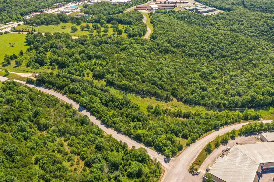 000 Cardinal Way, Branson, MO 65616 - #3