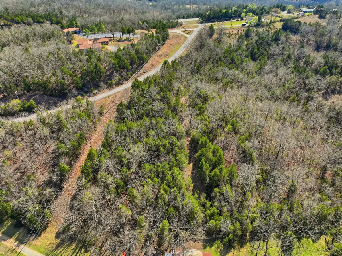 +000 Hwy Mm #000, Gainesville, MO 65655 - #1