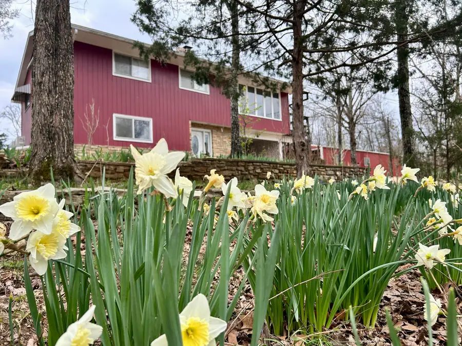 174 Foxgrove Street, Theodosia, MO 65761 - #3