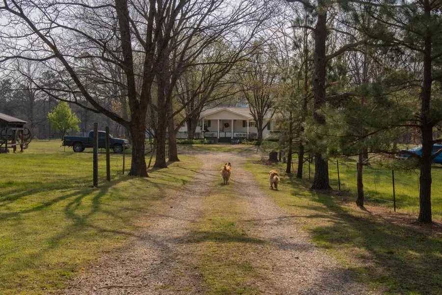 1900 Ripley 160 W-21, Doniphan, MO 63935 - #2