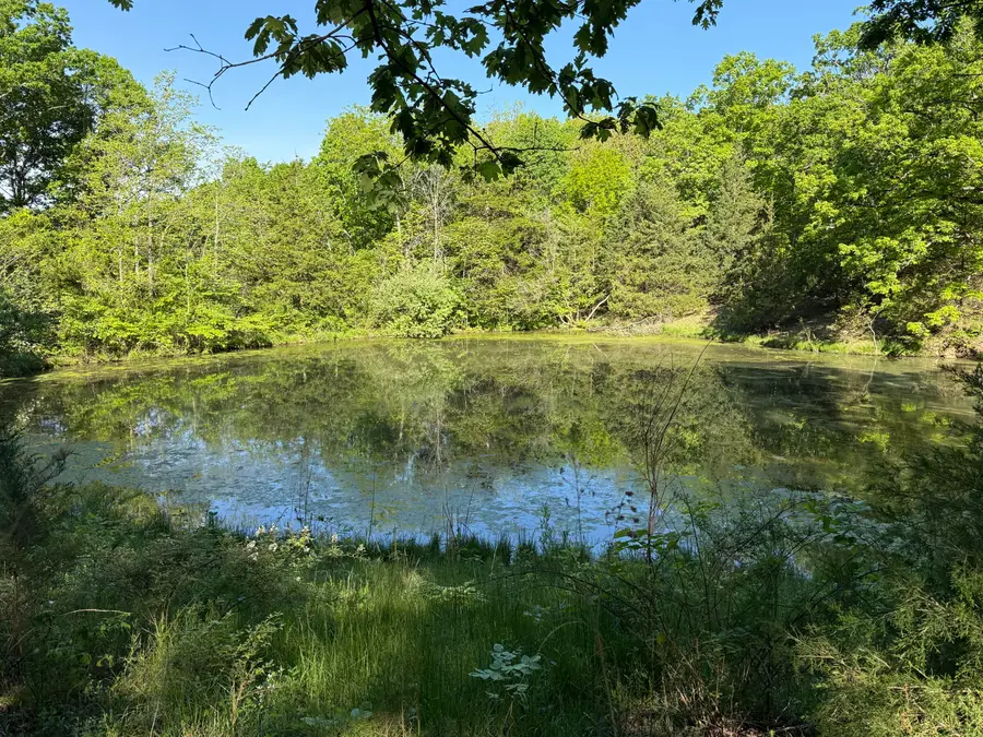 13080 County Road Ee, Cabool, MO 65689 - #2