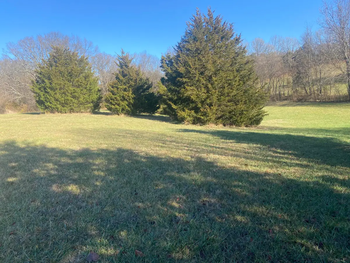 Lot 3 W Sunny Slopes Drive, Nixa, MO 65714 - #1