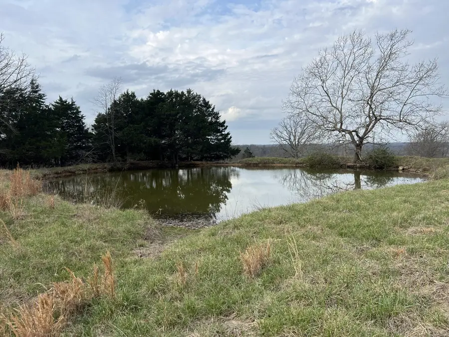 000 Curtner Road, Norwood, MO 65717 - #2