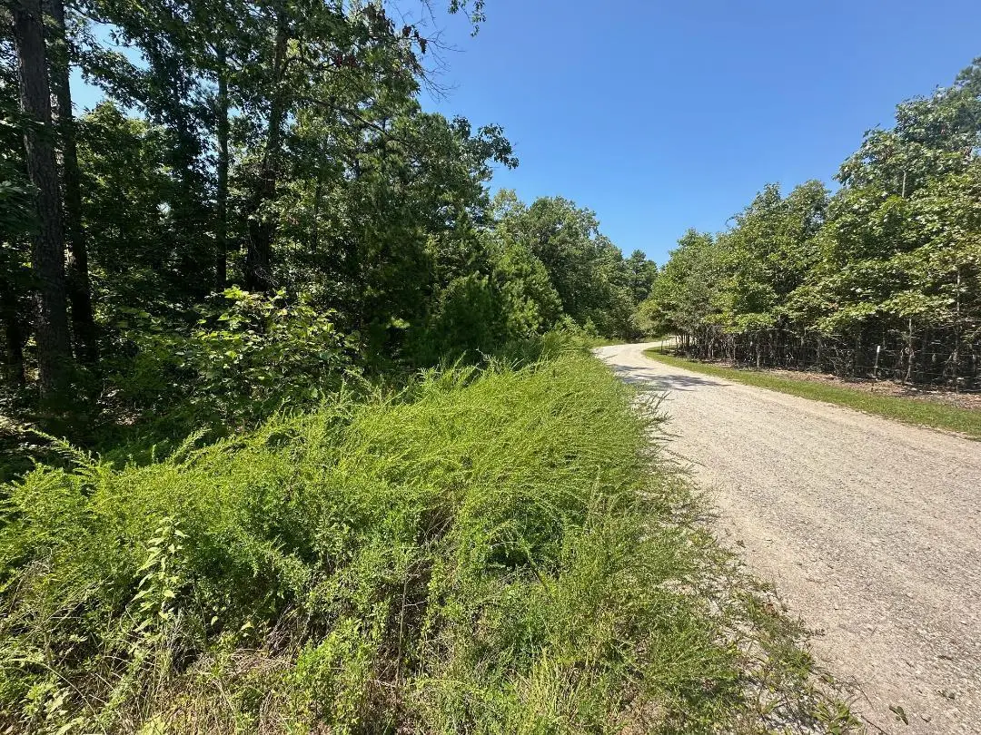 00000 Whispering Pines Lane, Licking, MO 65542 - #1