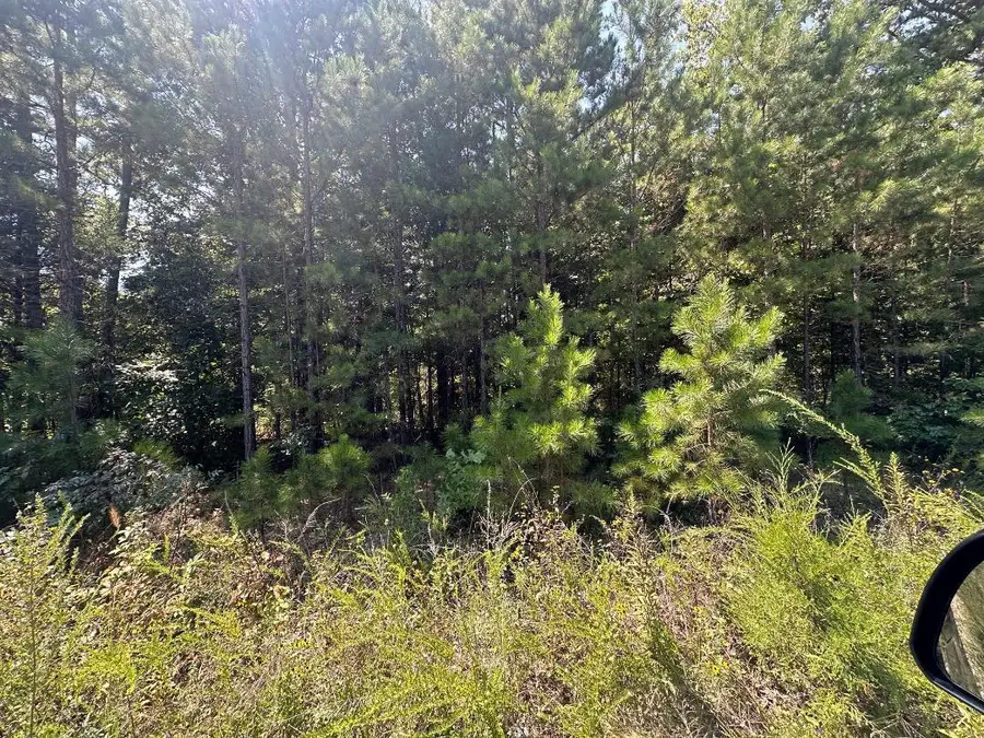 00000 Whispering Pines Lane, Licking, MO 65542 - #3