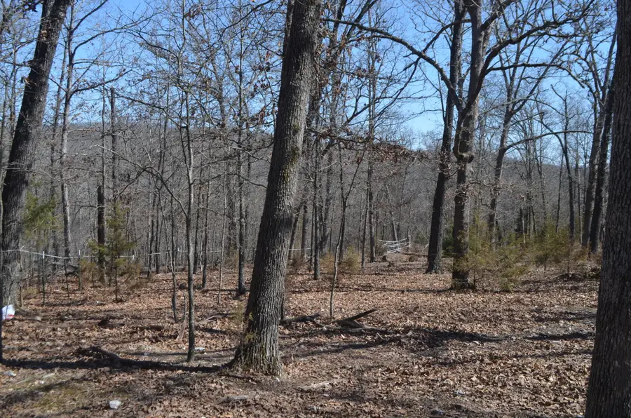 1955 Highview Circle, Bruner, MO 65620 - #2