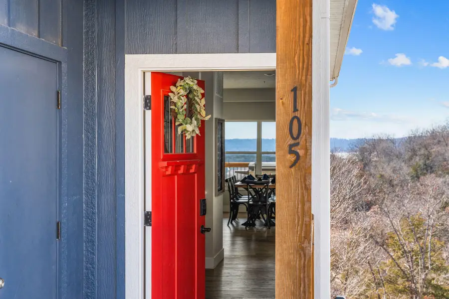 105 Chateau Mountain Drive, Branson, MO 65616 - #3