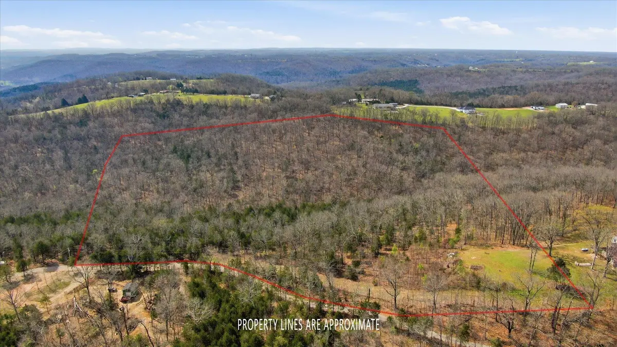 000 Bray Mines Road, Oldfield, MO 65720 - #1