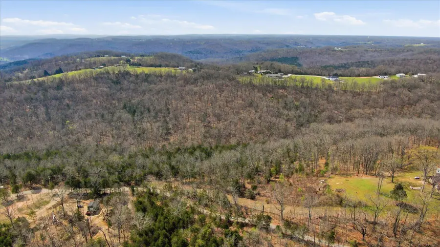 000 Bray Mines Road, Oldfield, MO 65720 - #2