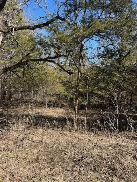 7789 Co Rd T-561 #T-561, Ava, MO 65608