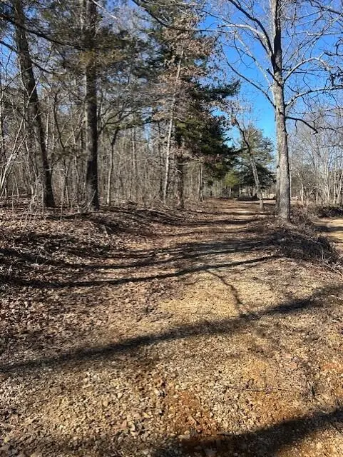 7789 W Co Rd T-561, Ava, MO 65608 - #3