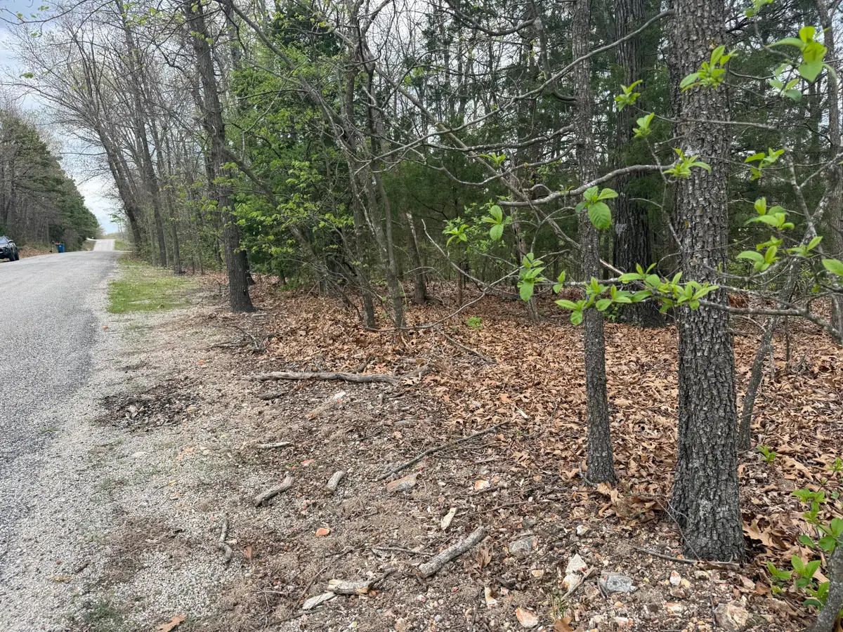 Lot 10 Entry Road, Ridgedale, MO 65739 - #1