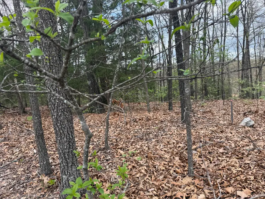 Lot 10 Entry Road, Ridgedale, MO 65739 - #2