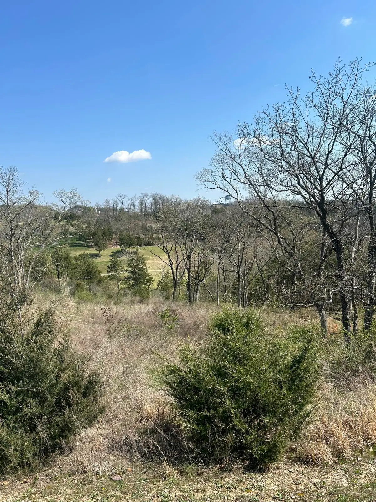 000 Pebble Beach Lot 6a Drive, Branson, MO 65616 - #1