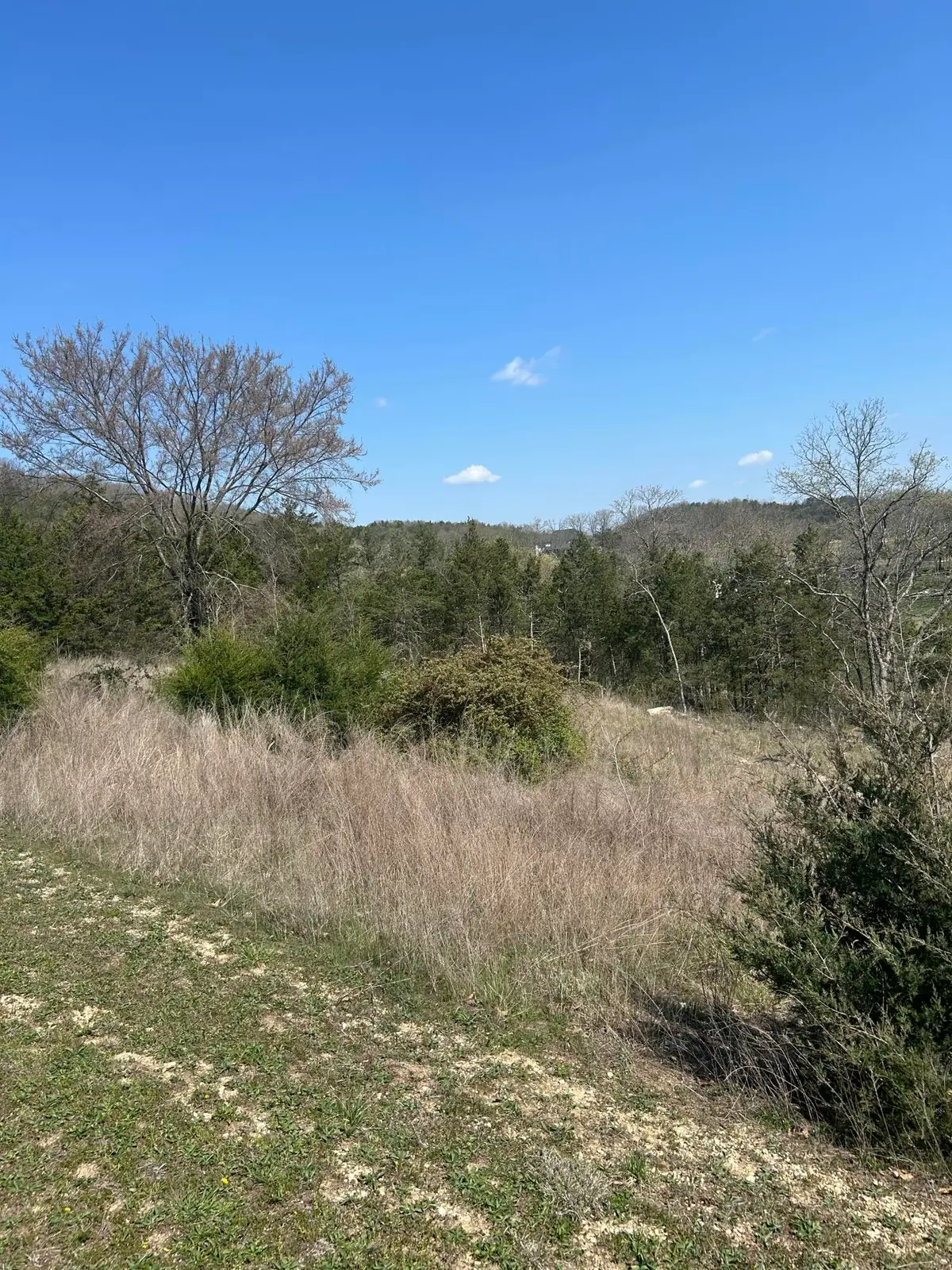 000 Pebble Beach Lot 5 Drive, Branson, MO 65616 - #1