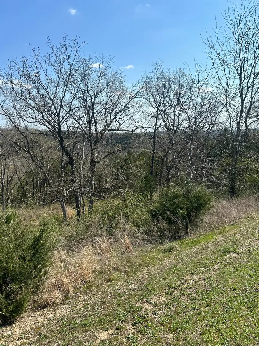 000 Pebble Beach Lot 5 Drive, Branson, MO 65616 - #3